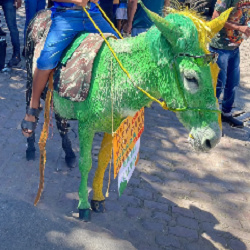 jegadaa2250
