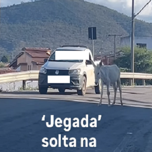 jegggg1