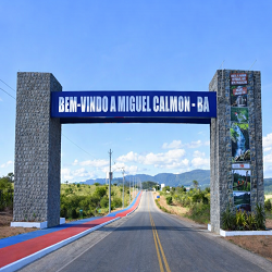 miguel calmon 250